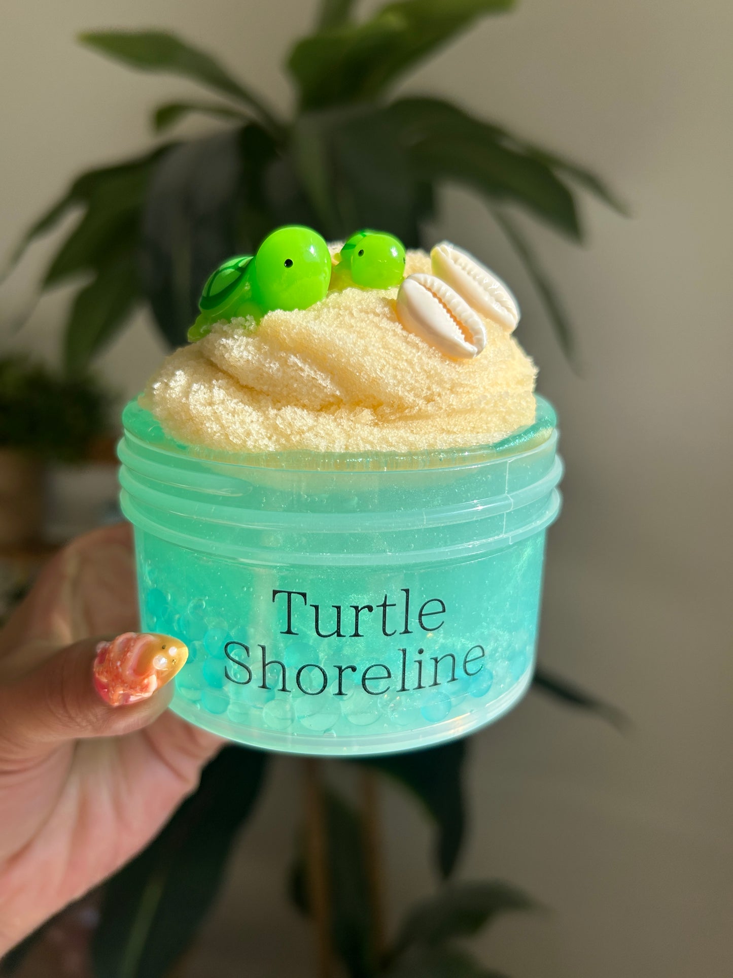 Turtle Shoreline