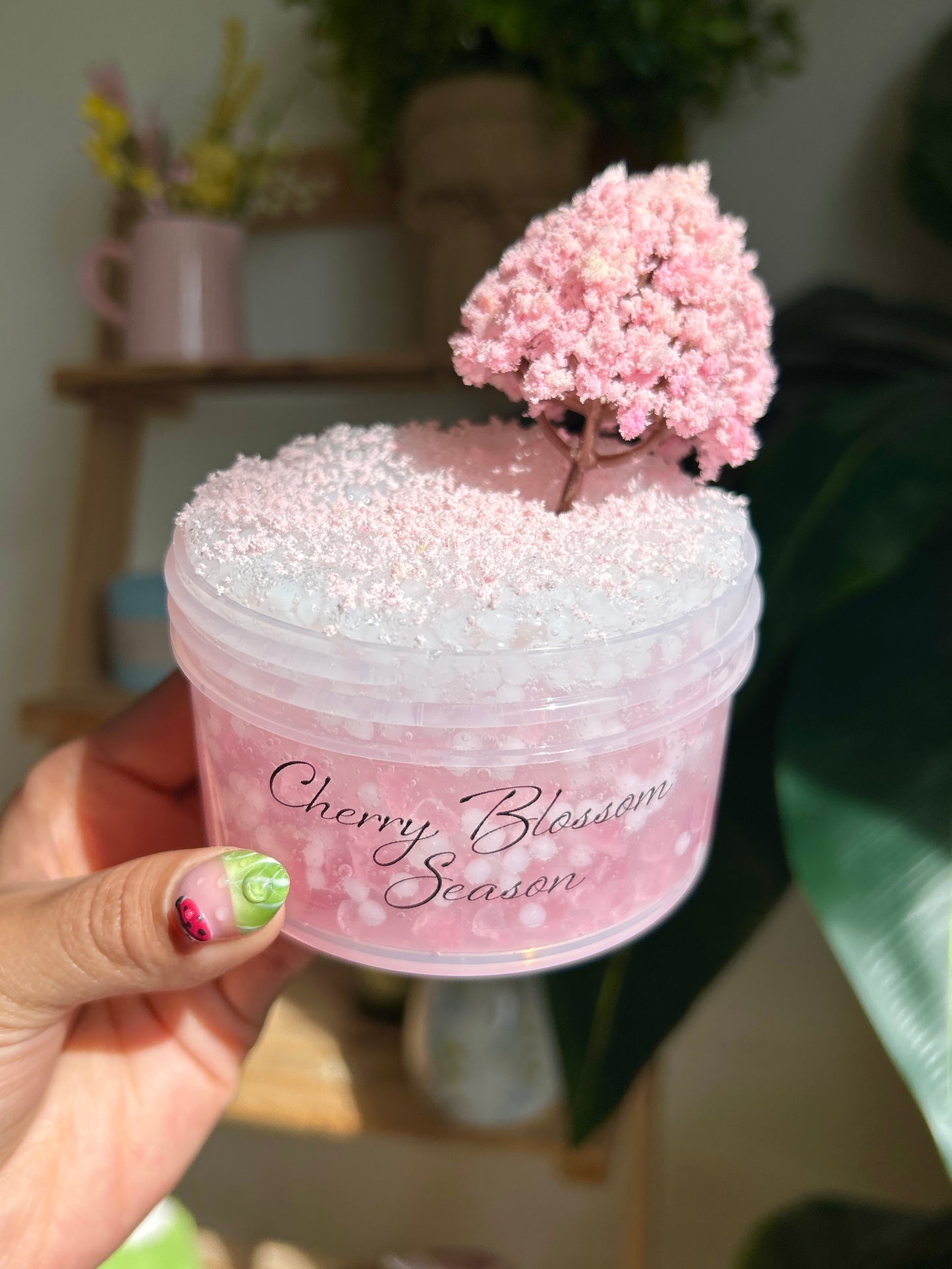 Cherry Blossom Season