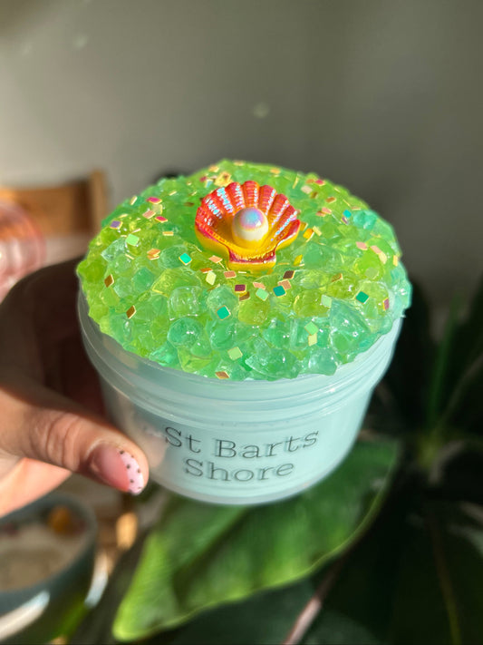 St Barts Shore