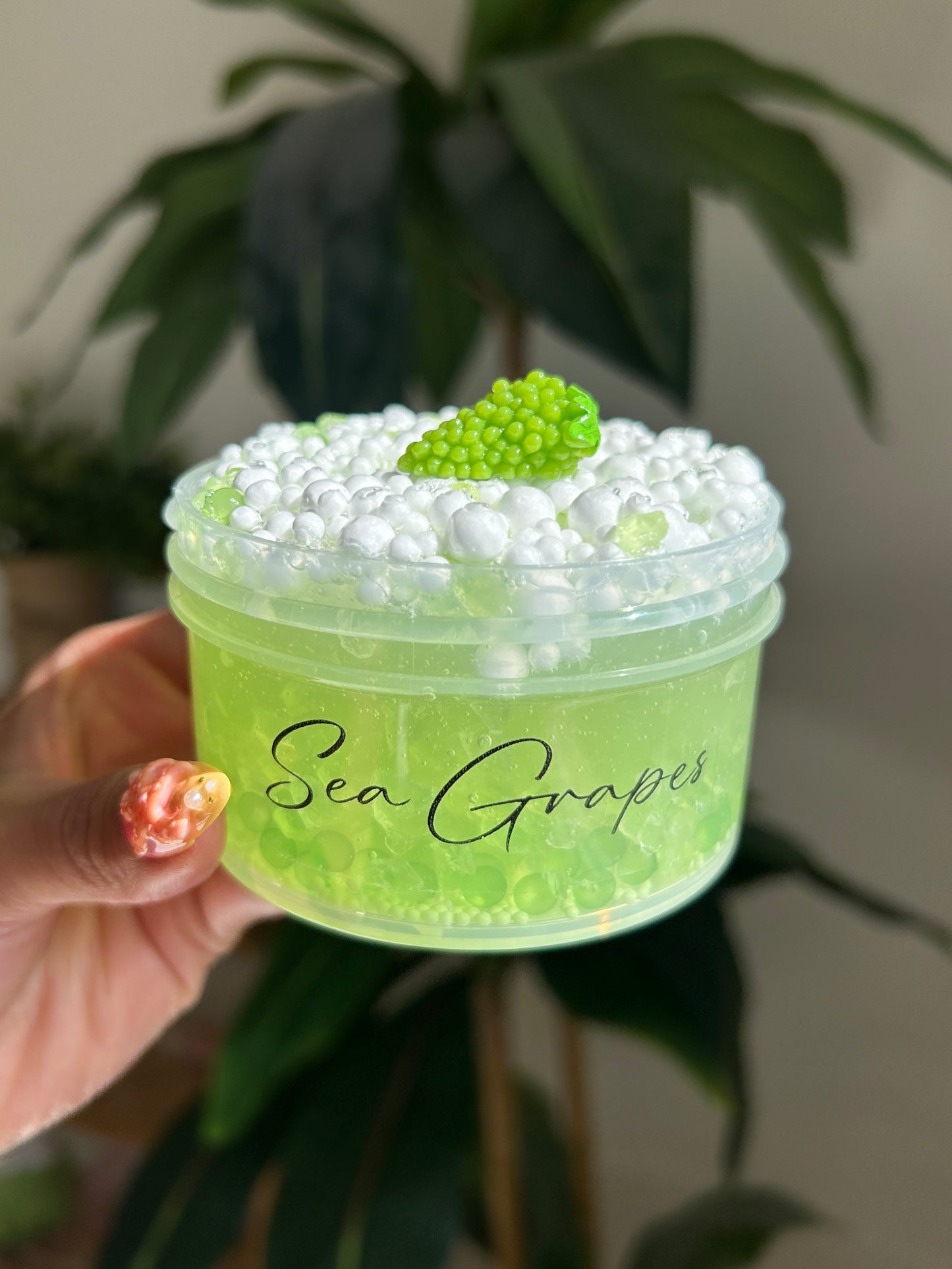 Sea Grapes