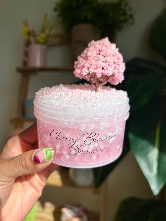 Cherry Blossom Season