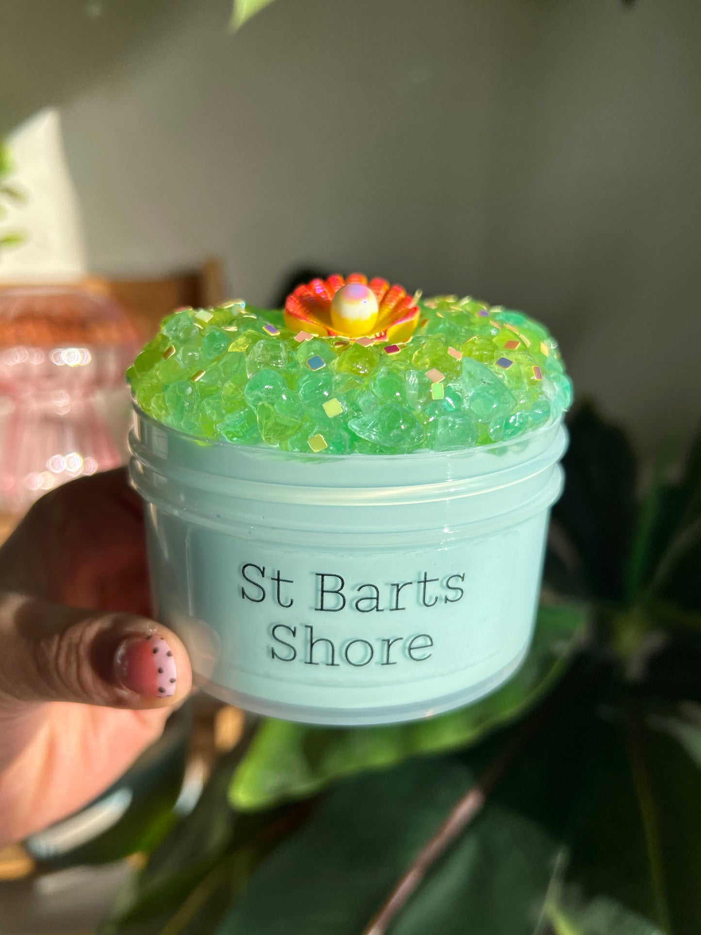 St Barts Shore